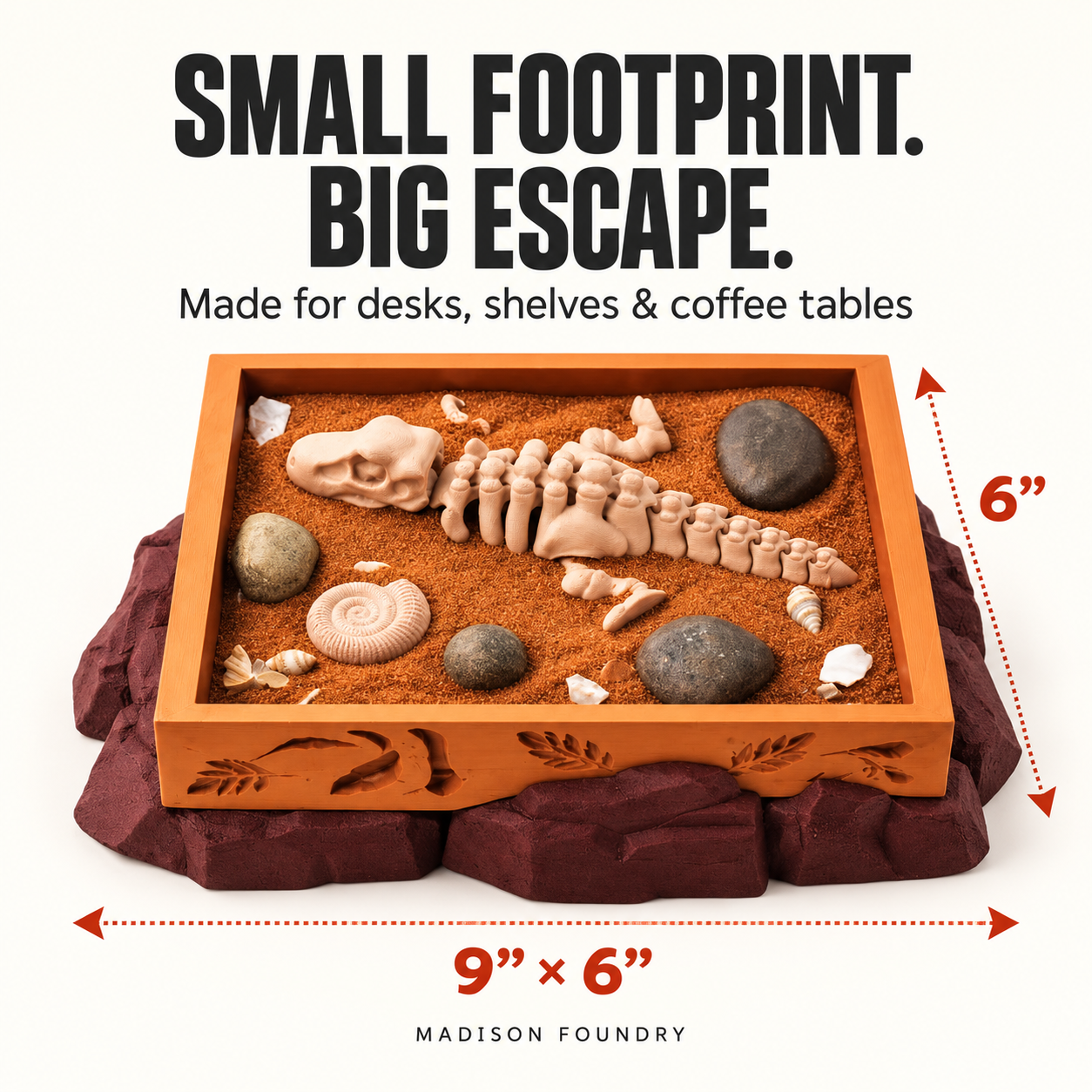 Dinosaur Fossil Zen Garden — size